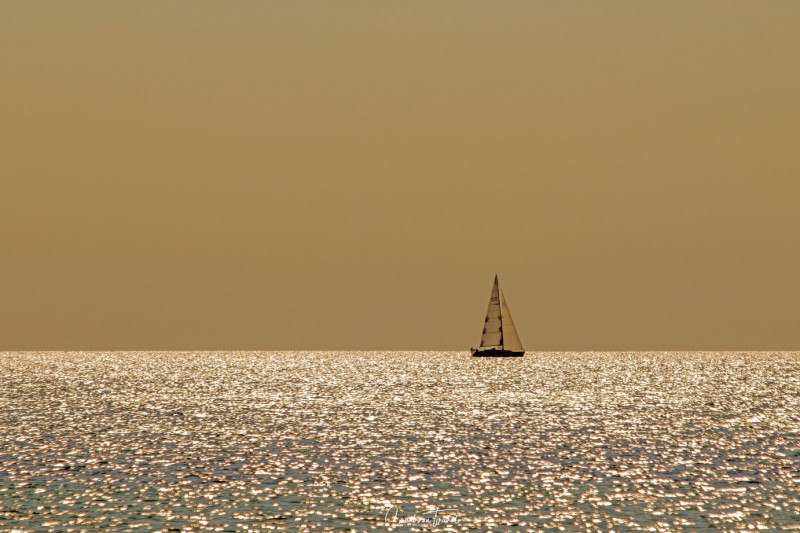 Sunset sailing boat - Beach impressions
