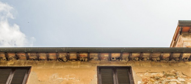 Impressions of Bolgheri in Tuscany/Italy - swallow's nests