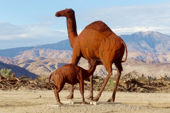 Galleta Meadows, metal sculpture, camels, Borrego Springs, California/USA