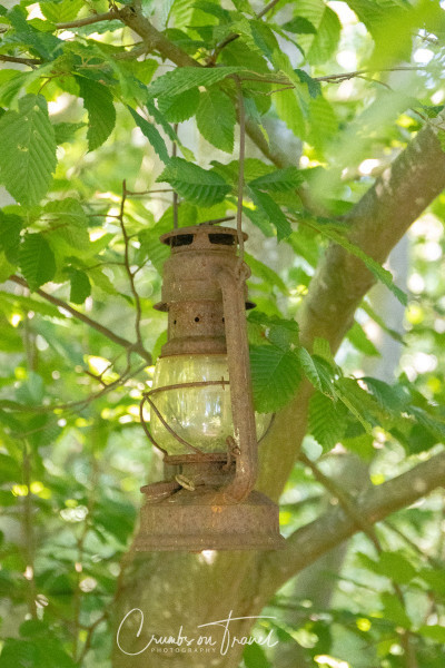 Open Gardens Tour 2020