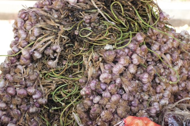 Fresh garlic at a market in Jordan