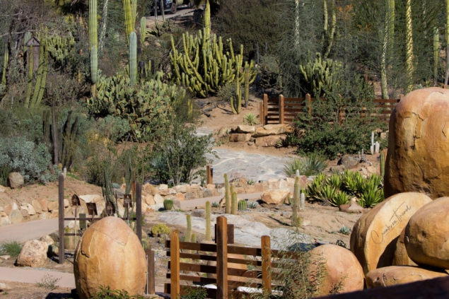 San Diego Zoo Safari Park, California/USA - baja-garden