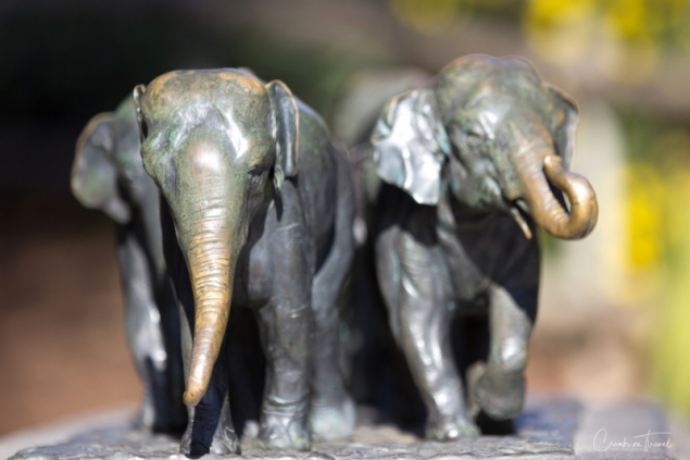 San Diego Zoo Safari Park - Elephant Sculpture