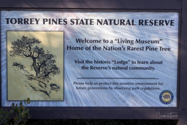 Torrey Pines State Natural Reserve, California/USA
